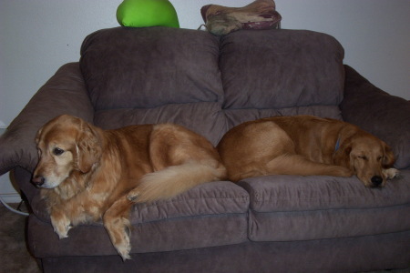 Ginger on Left and Candy on right
