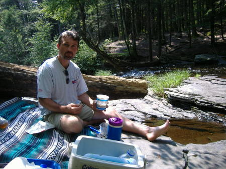 picnic at dingman falls