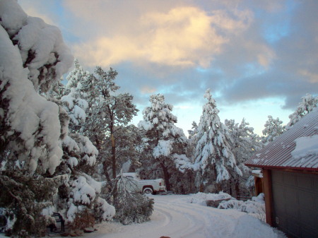 My Backyard in winter