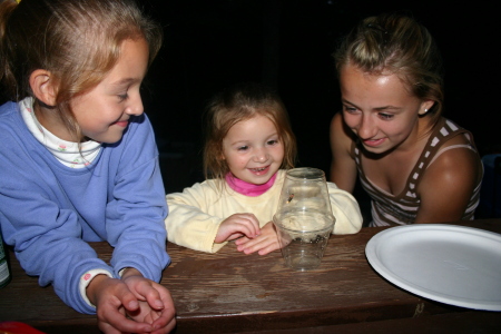 Kaela, Katie (grand-daughters) & Megan (daughter) catching 'Lightning Bugs' in Wisconsin.