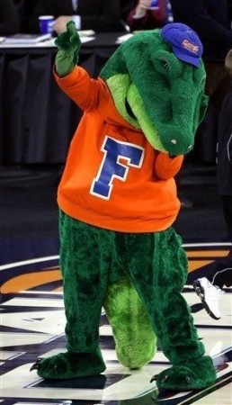 Go Gators! Proud member of the Gator Nation