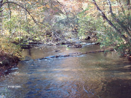 a stream in blueridge