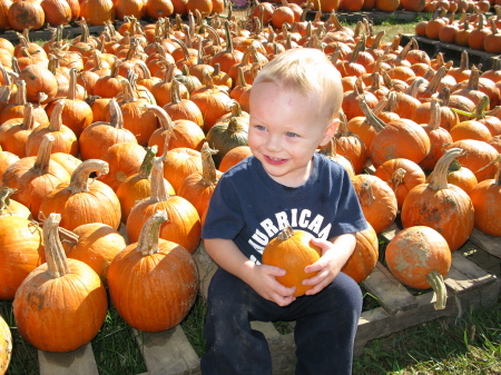 Ryan pumpkin picking 2008-20 months old