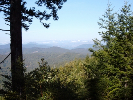 Nothern California Sierras