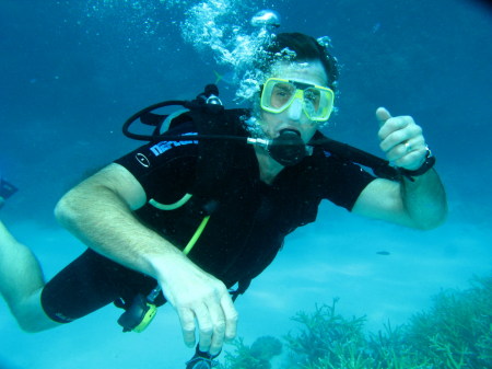 Diving in the great barrier reef