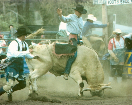 Bull Riding