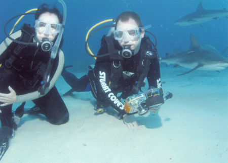 Stuart Coves shark dive Nassau Dec 2006