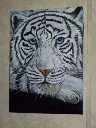 My first white tiger 
