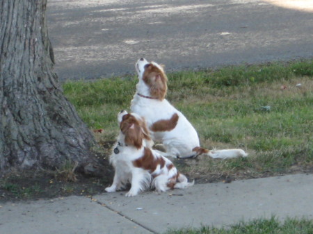 Sarah & Georgia waiting