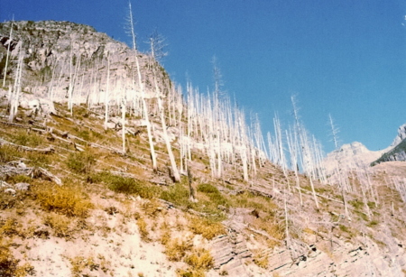 Colorado late 1970's