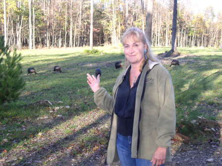 Elk County's new Visitor's Center