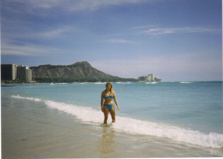 The Beach in Beautiful Hawaii