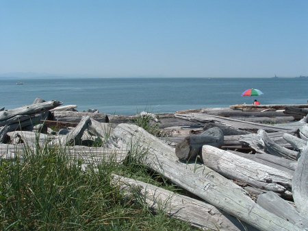 View from home in Point Roberts