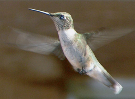 In Flight