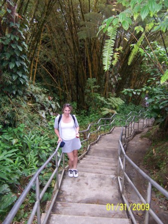 Rainforest walk