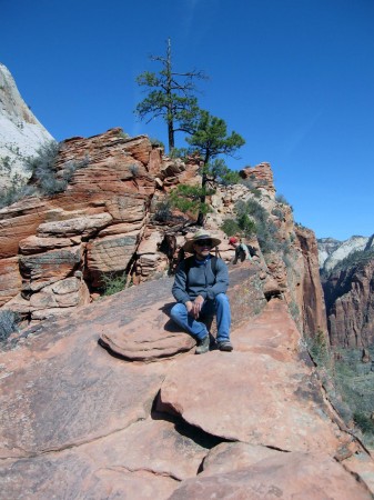 Zion National Forest 2007