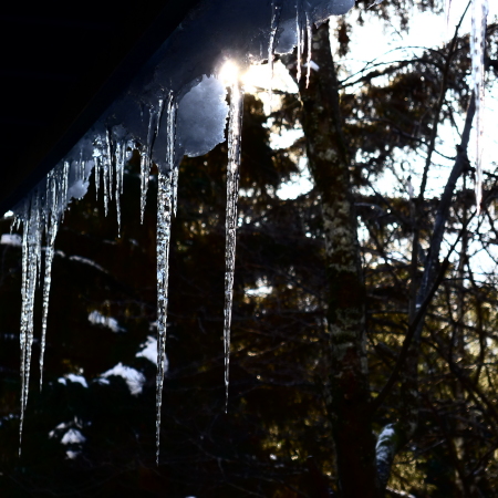 Susan Betyak's album, Juneau