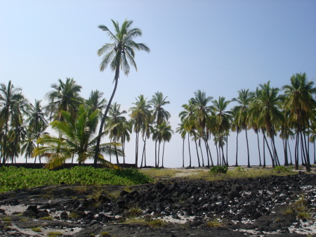 Kona, HI