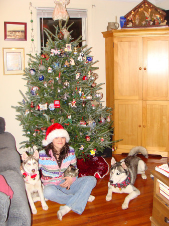 Christmas photo 08