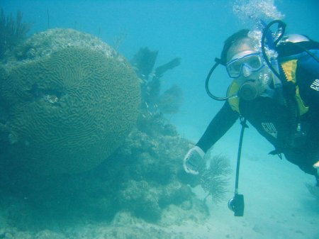 Diving in the Keys in 2003