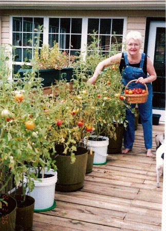 Pam with tomatoes