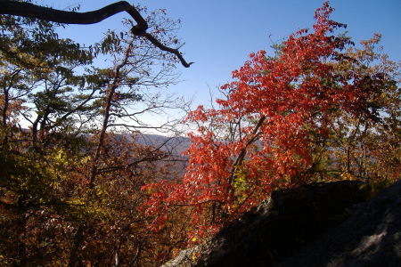 camping at cheaha 11-04 thru 11-06 -2008 029