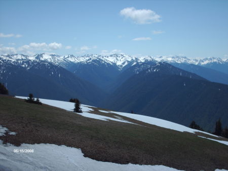 Hurricane Ridge, Port Angeles, WA