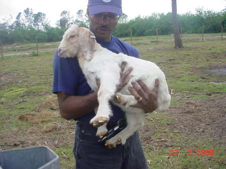 me and my goat