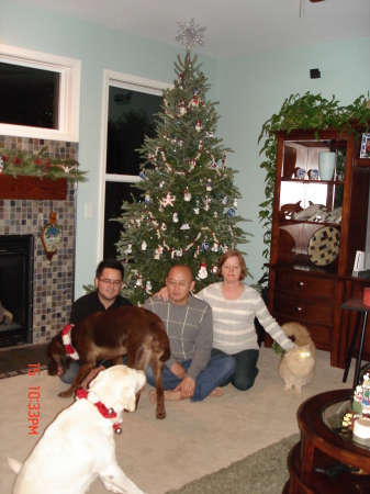 Christmas 2008, Second Christmas Tree