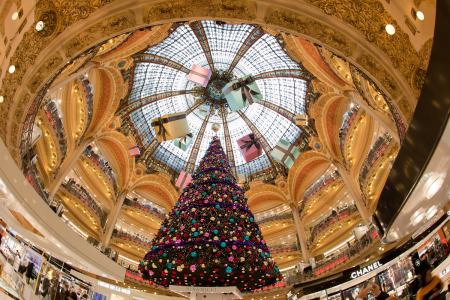 2010 Galleries Lafayette - Paris France