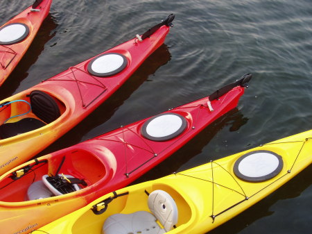 Kayak Kolors