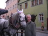 Carl & Friend, Germany 2005