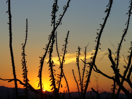 Arizona Sunset