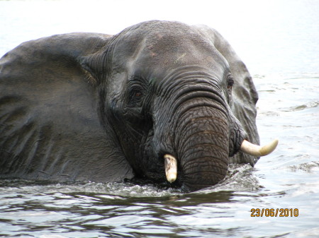 Bathtime