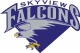 Skyview High School 20 year reunion reunion event on Jul 14, 2016 image
