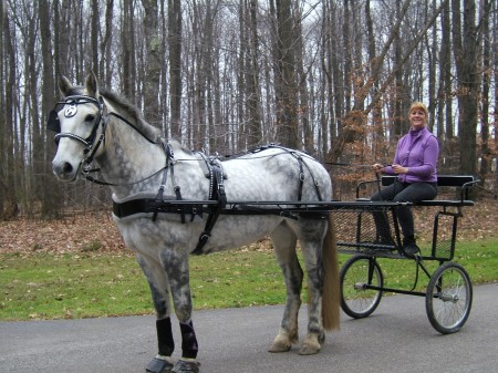 Getting back to Tia's draft horse roots