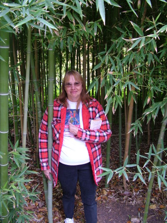 Me in red hair phase at Fort Worth Japanese Gardens