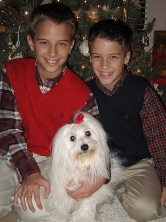 Matthew, Ethan, and Bella~Christmas 2005