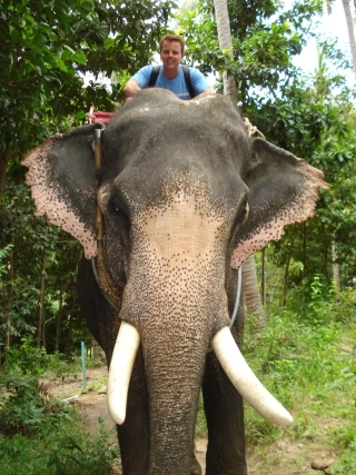 Elephant Trekking in Koh Samui