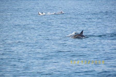 Nice view on the Red Sea in Djibouti