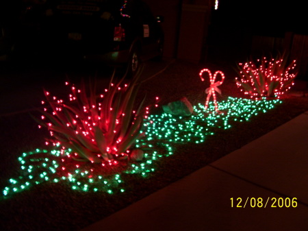 Some of my Christmas lights.