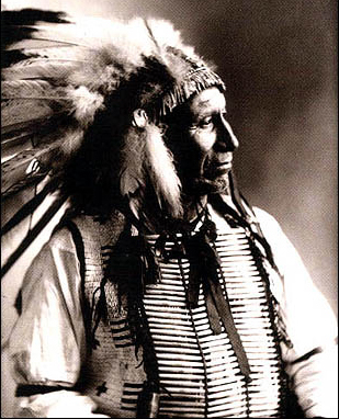 Chief American Horse