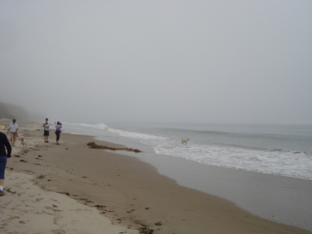 Jalama Beach on a foggy day