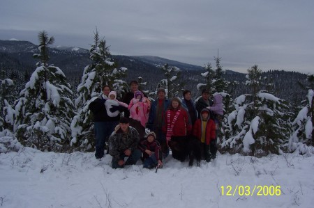 Christmas Tree Hunting Montana Style