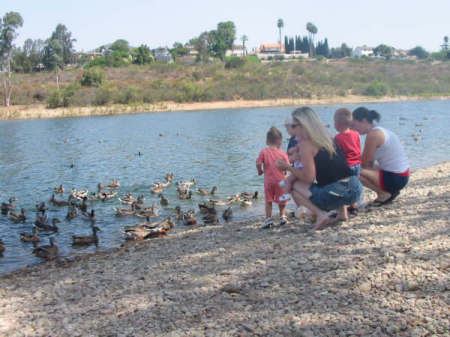 Feeding the ducks