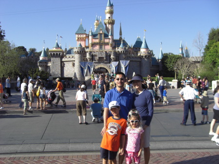 Disneyland 2008