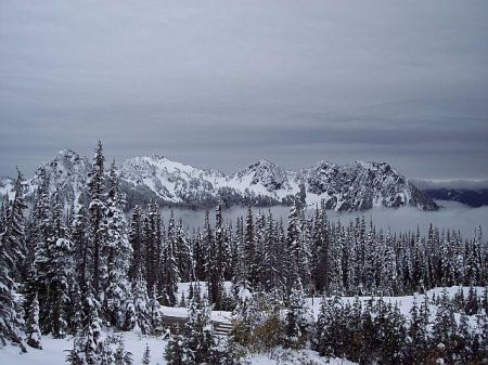 View from Paradise Point