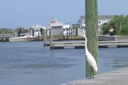 Captree Boat Basin