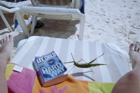 Reading on the beach with a friend!