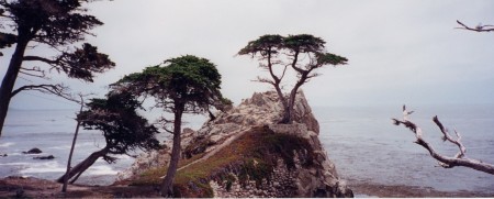 view from the pacific coast hwy-1996